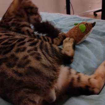 Игрушка для кошек Barbaks Мышь-пушистик с кошачьей мятой меховая с пушистым хвостом 26*3см Коричневая: отзыв пользователя. Зоомагазин Зоозавр