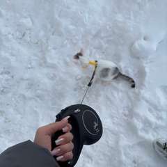 Фото отзыва 11061145