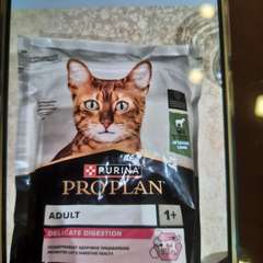 Фото отзыва 10659854