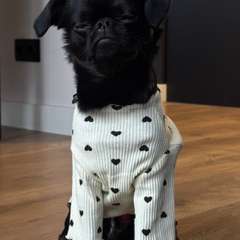 Фото отзыва 10948137