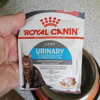 Корм для кошек ROYAL CANIN Urinary Care для поддержания здоровья мочевыделительной системы 85г: отзыв пользователя. Зоомагазин Зоозавр