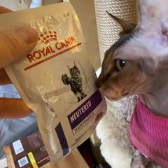 Фото отзыва 10757090