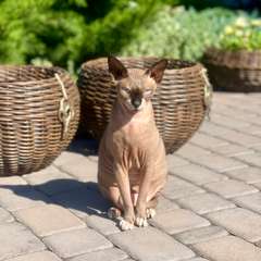 Фото отзыва 10474457