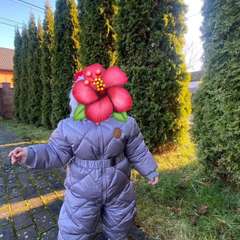 Фото отзыва 10884843