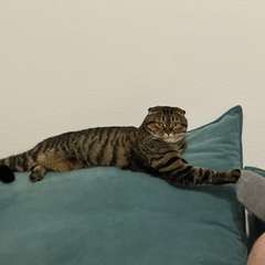 Фото отзыва 10721250