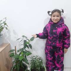 Фото отзыва 10615331