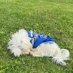 Фото отзыва 10030105