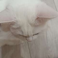 Фото отзыва 10756711