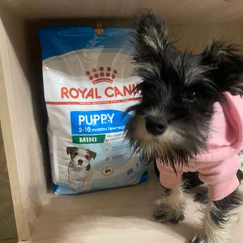 Корм для щенков ROYAL CANIN Puppy мелких пород 4кг: отзыв пользователя. Зоомагазин Зоозавр
