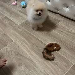 Фото отзыва 10492062