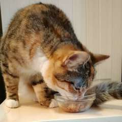 Фото отзыва 10653713