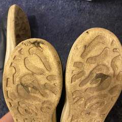 Фото отзыва 5308479