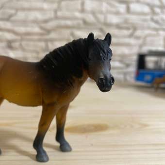 Фигурка Collecta Жеребец Эксмурский Пони: отзыв пользователя Детский Мир