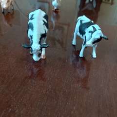 Фото отзыва 10779902