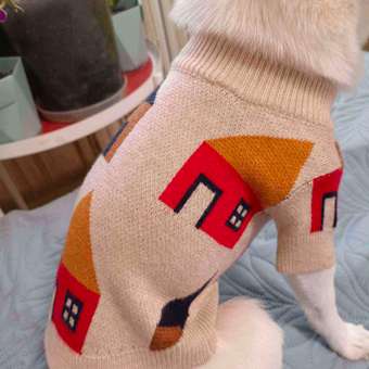 Джемпер для собак и кошек Зоозавр: отзыв пользователя. Зоомагазин Зоозавр