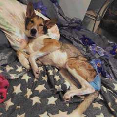 Фото отзыва 10660754