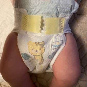 Подгузники Pampers Premium Care 2 (4-8 кг) 102 шт.: отзыв пользователя ДетМир