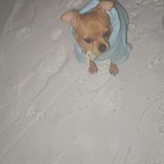 Фото отзыва 10848073