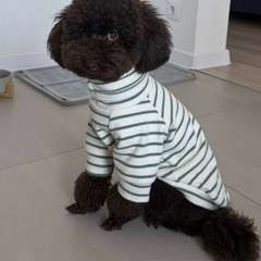 Фото отзыва 11128308