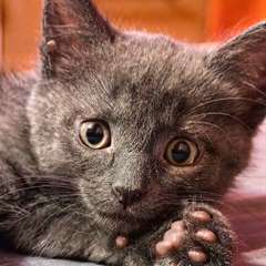 Фото отзыва 10702143