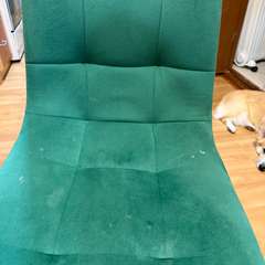 Фото отзыва 11263540