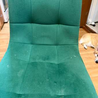 Пылесос моющий для чистки мебели ковров CASTLELADY и салона автомобиля 4 насадки 42000 Па: отзыв пользователя Детский Мир