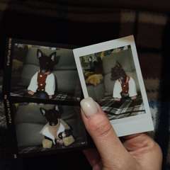 Фото отзыва 11104311