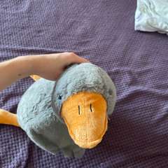 Фото отзыва 5313931