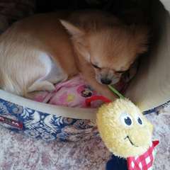 Фото отзыва 9698242