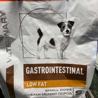 Корм для собак ROYAL CANIN Gastrointestinal low fat мелких пород 3кг: отзыв пользователя. Зоомагазин Зоозавр