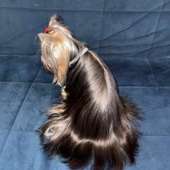 Фото отзыва 11266759