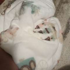 Фото отзыва 10541384