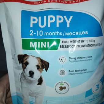 Корм для щенков ROYAL CANIN Puppy мелких пород 2кг: отзыв пользователя. Зоомагазин Зоозавр