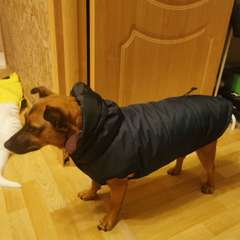 Фото отзыва 10887116