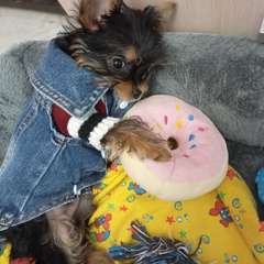 Фото отзыва 10786789