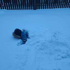 Фото отзыва 10870173