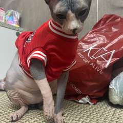 Фото отзыва 11275493