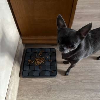 Корм для собак PRO PLAN мелких и миниатюрных пород с чувствительным пищеварением ягненок с рисом 700г: отзыв пользователя. Зоомагазин Зоозавр