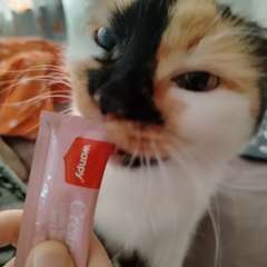 Фото отзыва 10432226