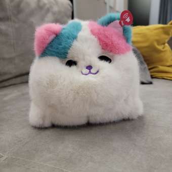 Мягкая игрушка ТОТОША котик мяукает, повторяет и двигается: отзыв пользователя Детский Мир