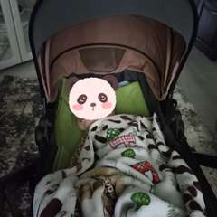 Фото отзыва 11264231