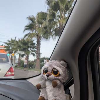 Мягкая игрушка TY енот: отзыв пользователя Детский Мир