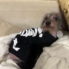 Фото отзыва 10939562