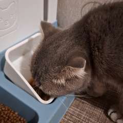 Видео отзыва 10174340