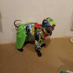 Фото отзыва 11070033