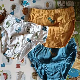 Трусы Day and Night 3 шт: отзыв пользователя Детский Мир