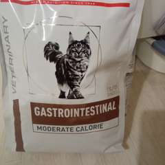 Фото отзыва 10945226