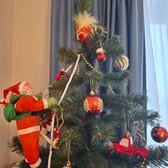 Фото отзыва 10850533