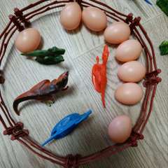 Фото отзыва 11296639