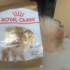 Фото отзыва 10821083